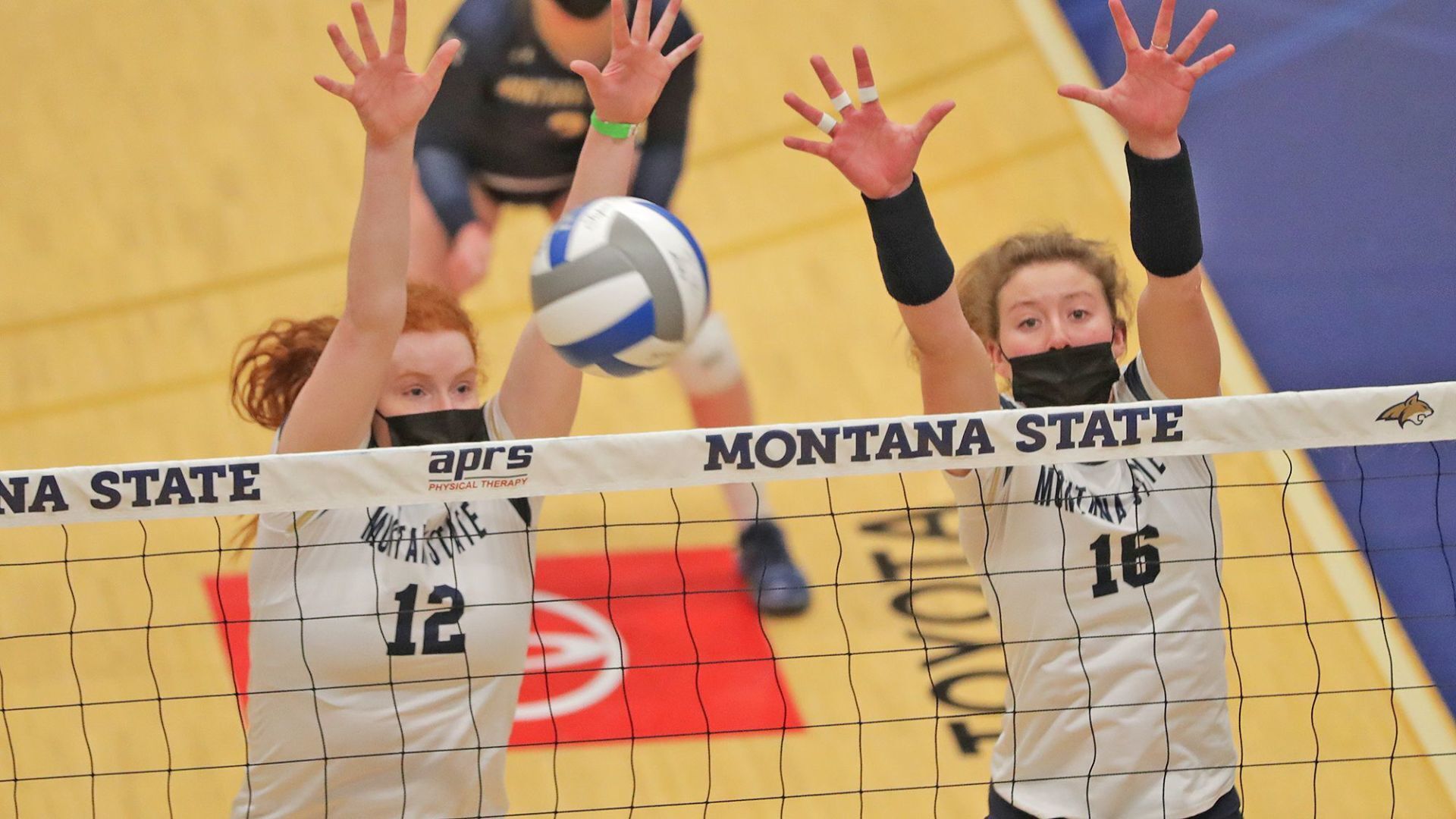 MSU volleyball